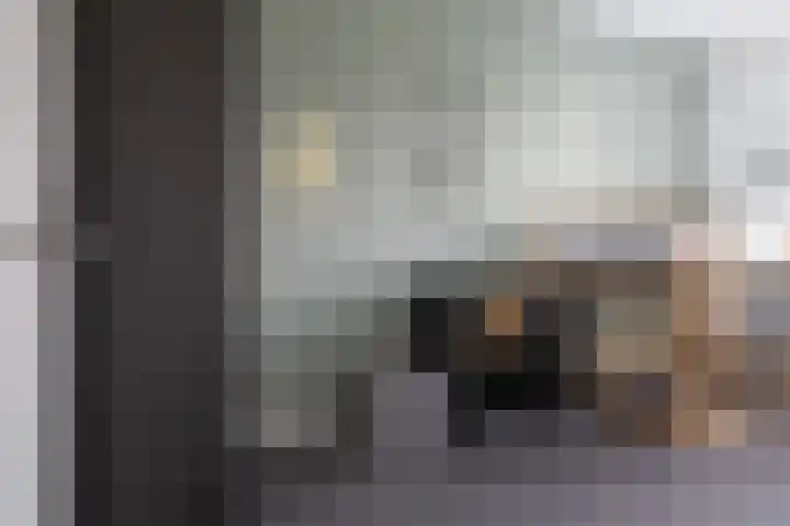 Hoogland 21 Vriezenveen thumbnail 22