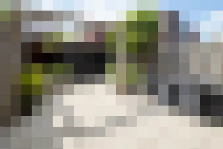 Hoogland 21 Vriezenveen thumbnail 29