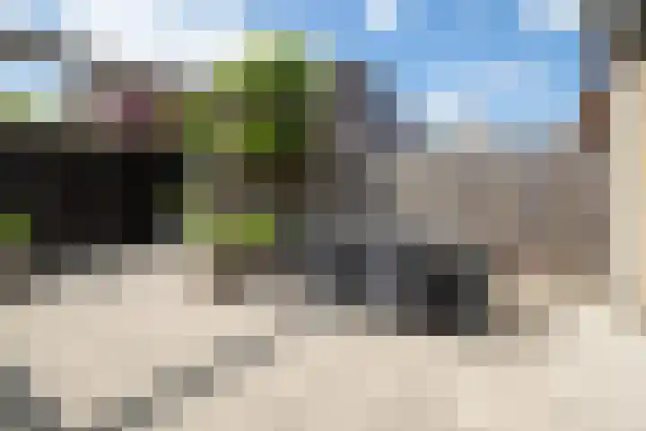 Hoogland 21 Vriezenveen thumbnail 30