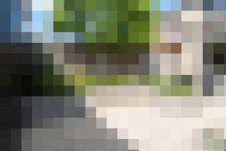 Hoogland 21 Vriezenveen thumbnail 32