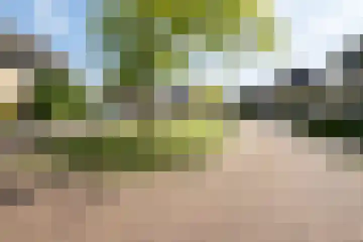 Hoogland 21 Vriezenveen thumbnail 39