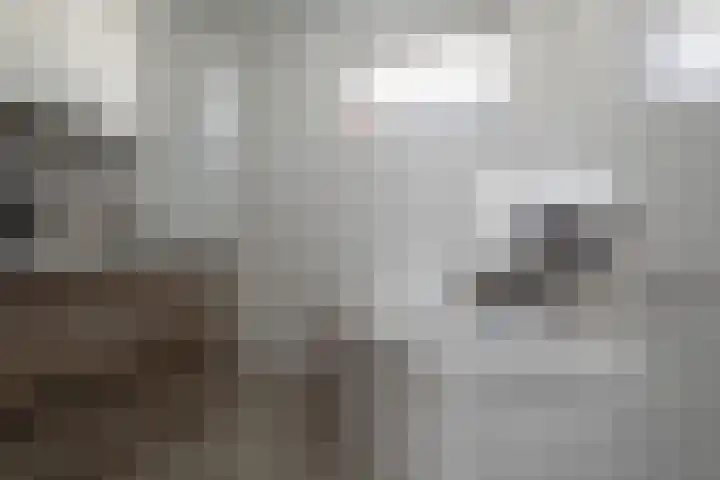 Hoogland 21 Vriezenveen thumbnail 5