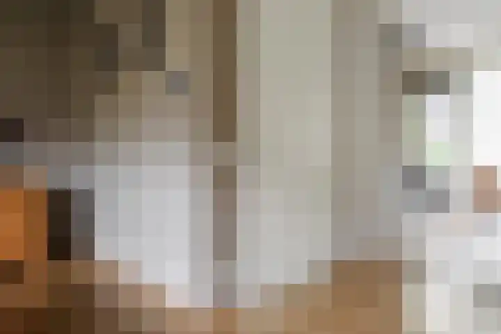 Hoogland 32 Vriezenveen thumbnail 12