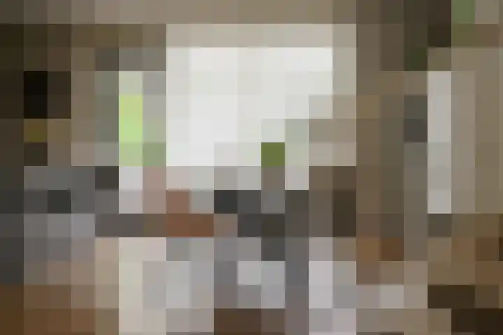 Hoogland 32 Vriezenveen thumbnail 13