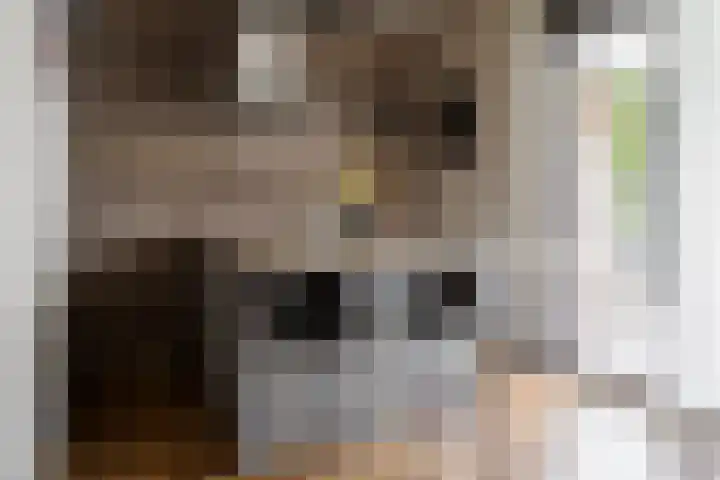 Hoogland 32 Vriezenveen thumbnail 14
