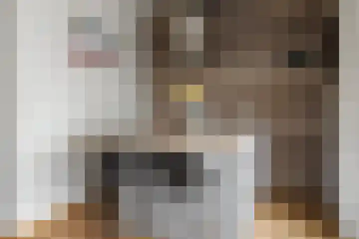 Hoogland 32 Vriezenveen thumbnail 15