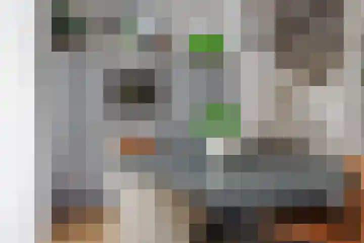 Hoogland 32 Vriezenveen thumbnail 17