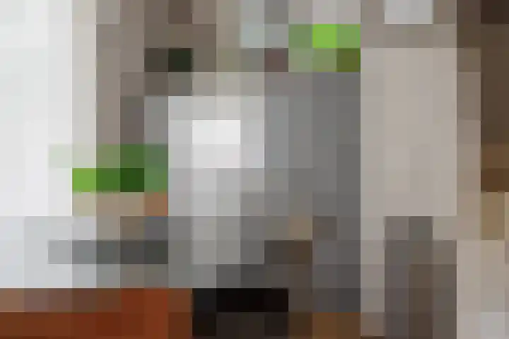 Hoogland 32 Vriezenveen thumbnail 18
