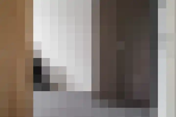 Hoogland 32 Vriezenveen thumbnail 22