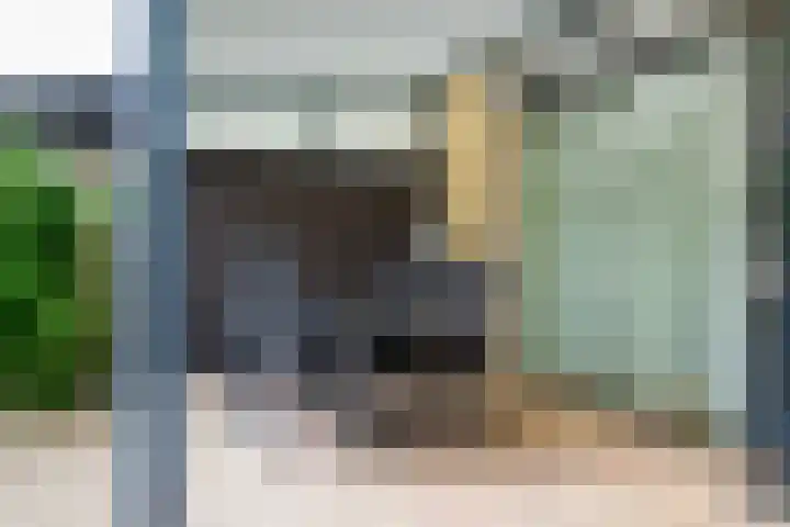 Hoogland 32 Vriezenveen thumbnail 28
