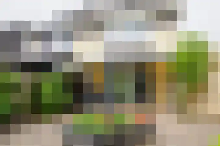 Hoogland 32 Vriezenveen thumbnail 29