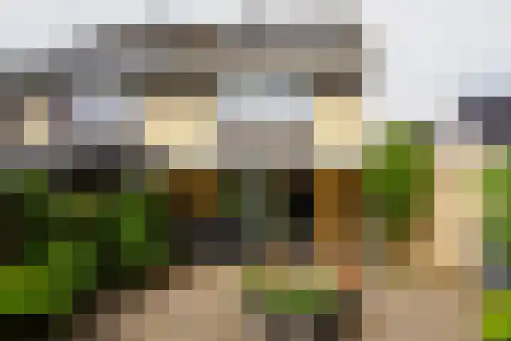 Hoogland 32 Vriezenveen thumbnail 30