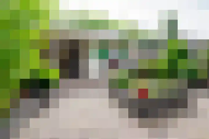 Hoogland 32 Vriezenveen thumbnail 31