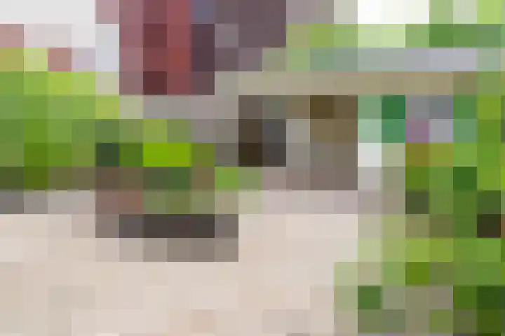 Hoogland 32 Vriezenveen thumbnail 32
