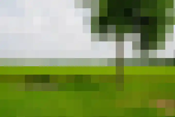 Hoogland 32 Vriezenveen thumbnail 37