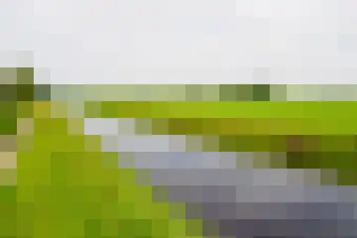 Hoogland 32 Vriezenveen thumbnail 38