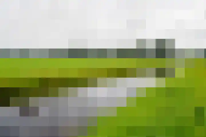 Hoogland 32 Vriezenveen thumbnail 39