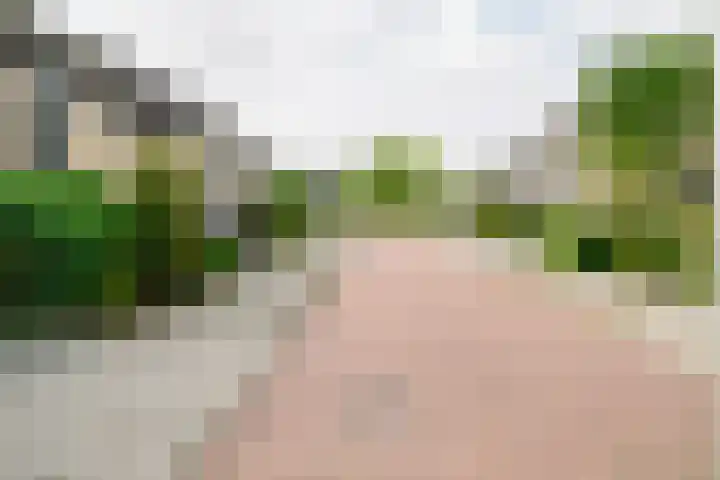 Hoogland 32 Vriezenveen thumbnail 41
