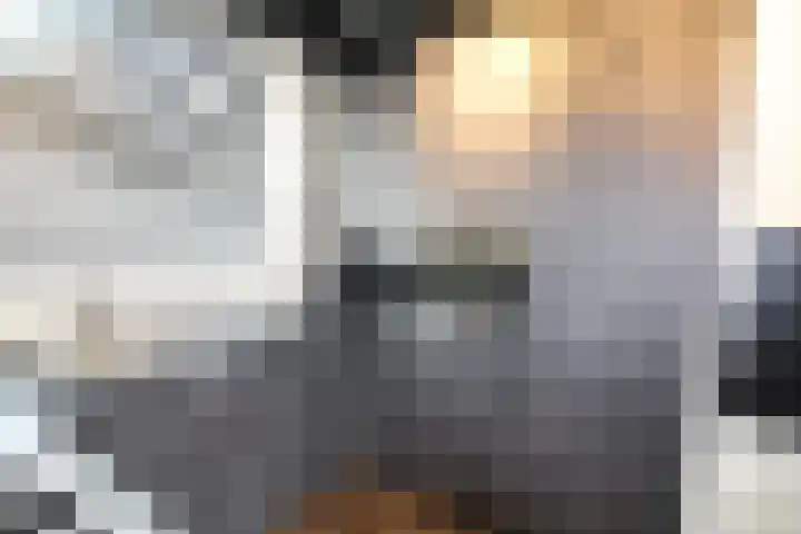 Hoogland 6 Vriezenveen thumbnail 10