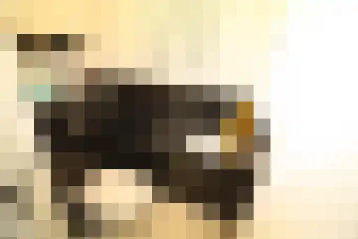 Hoogland 6 Vriezenveen thumbnail 12