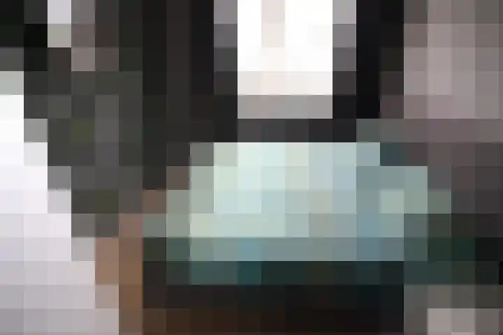Hoogland 6 Vriezenveen thumbnail 13