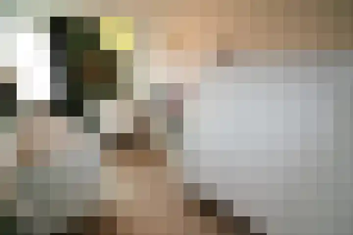 Hoogland 6 Vriezenveen thumbnail 15