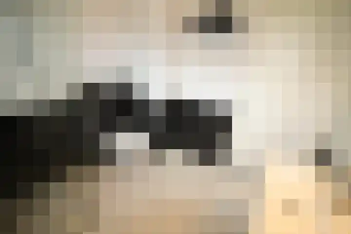 Hoogland 6 Vriezenveen thumbnail 18