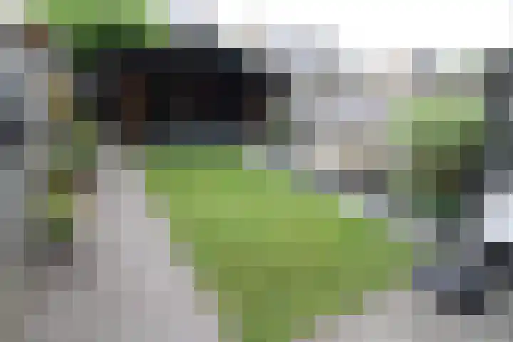 Hoogland 6 Vriezenveen thumbnail 21