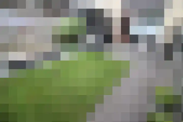 Hoogland 6 Vriezenveen thumbnail 23