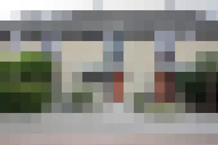 Hoogland 6 Vriezenveen thumbnail 26