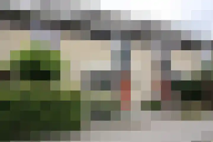 Hoogland 6 Vriezenveen thumbnail 27
