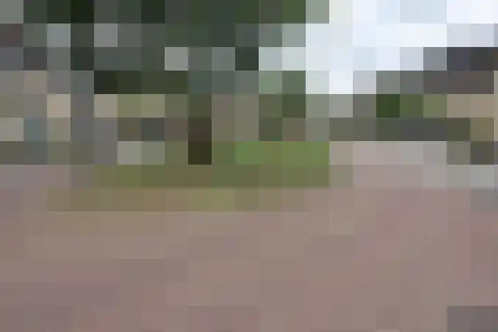Hoogland 6 Vriezenveen thumbnail 28