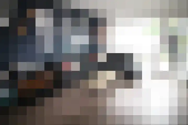 Hoogland 6 Vriezenveen thumbnail 4