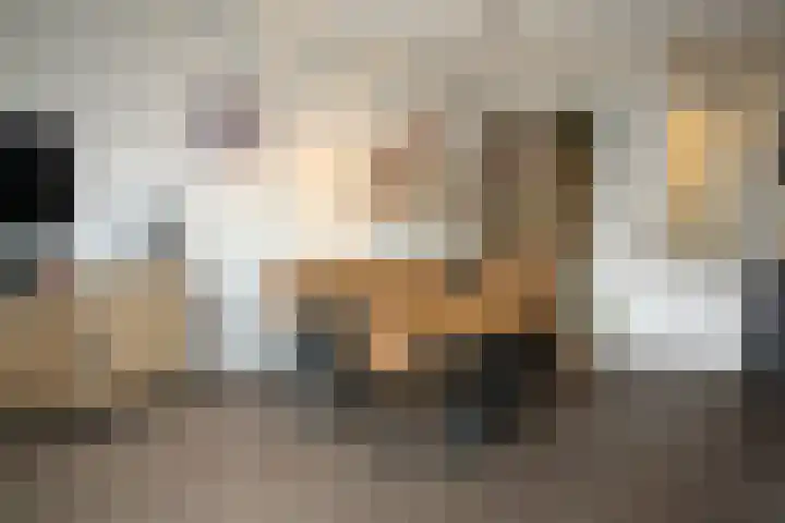 Hoogland 6 Vriezenveen thumbnail 6
