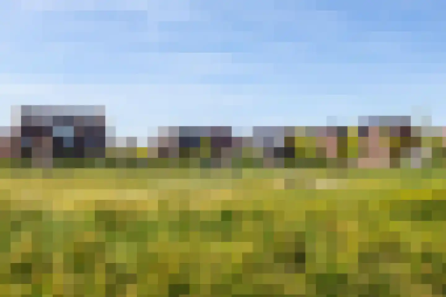 Hooglander 18 Meerstad thumbnail 10