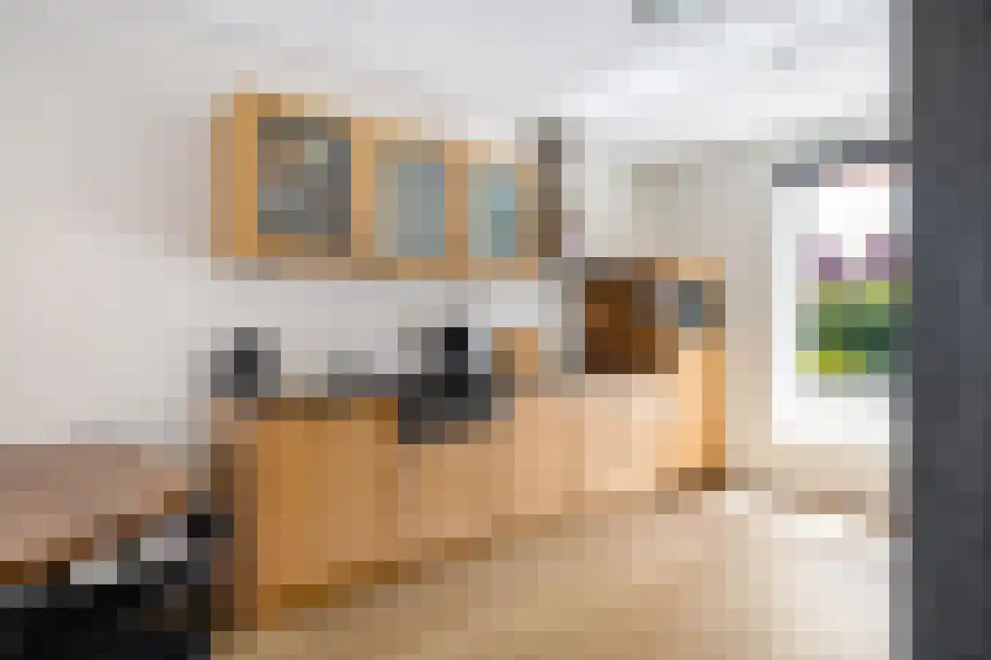 Hooglander 18 Meerstad thumbnail 21