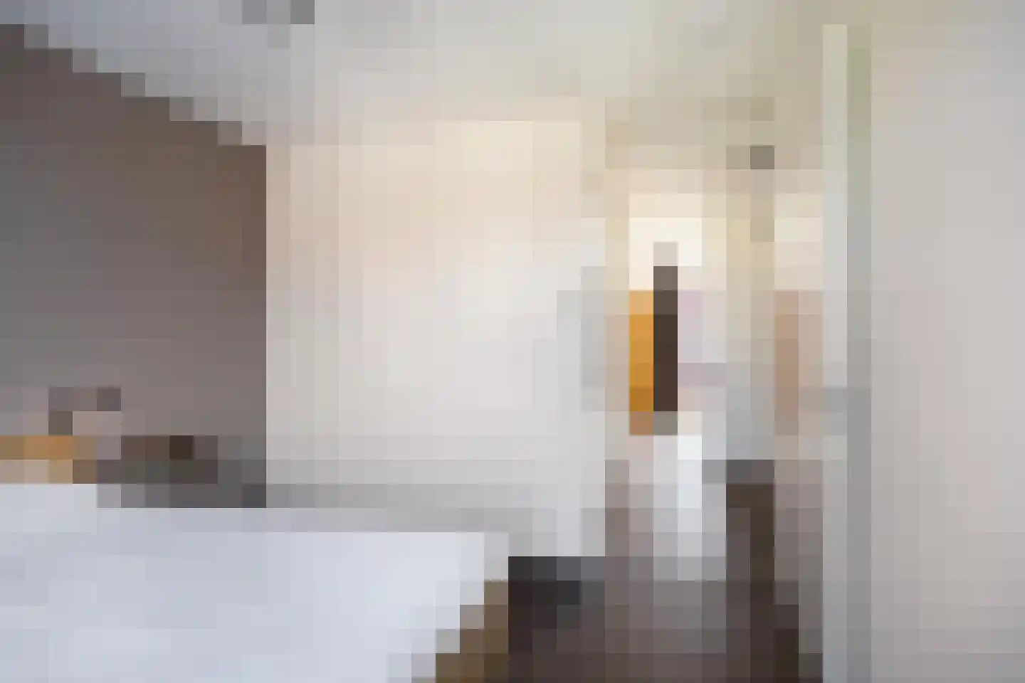 Hooglander 18 Meerstad thumbnail 37
