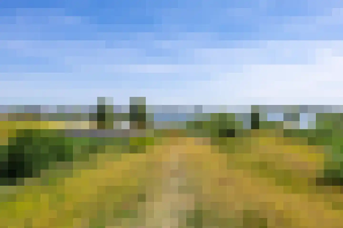 Hooglander 18 Meerstad thumbnail 7