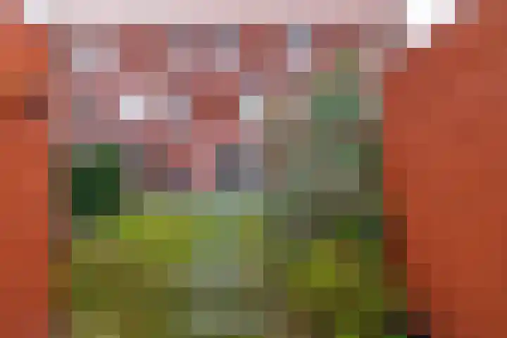 Hooglander 23 Meerstad thumbnail 27