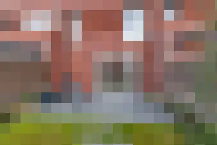 Hooglander 23 Meerstad thumbnail 28