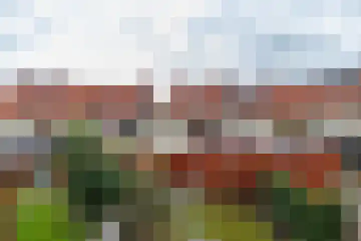 Hooglander 23 Meerstad thumbnail 44