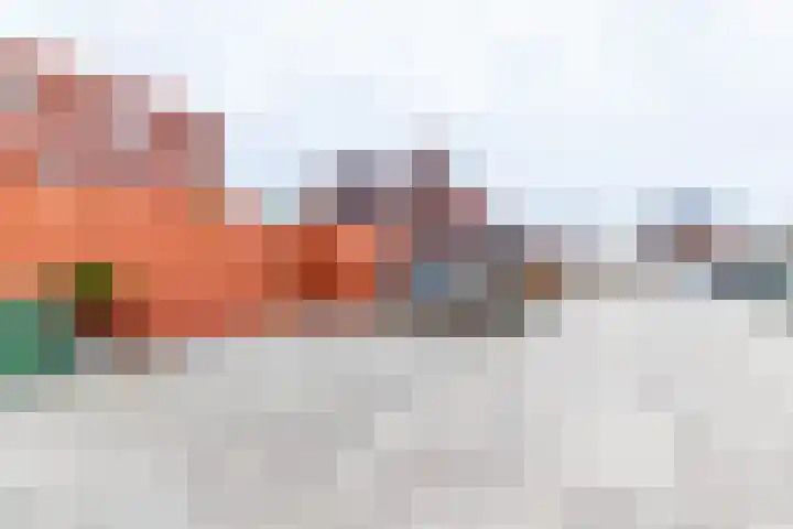 Hooglander 23 Meerstad thumbnail 58