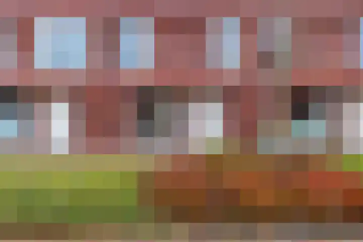 Hooglander 23 Meerstad thumbnail 7