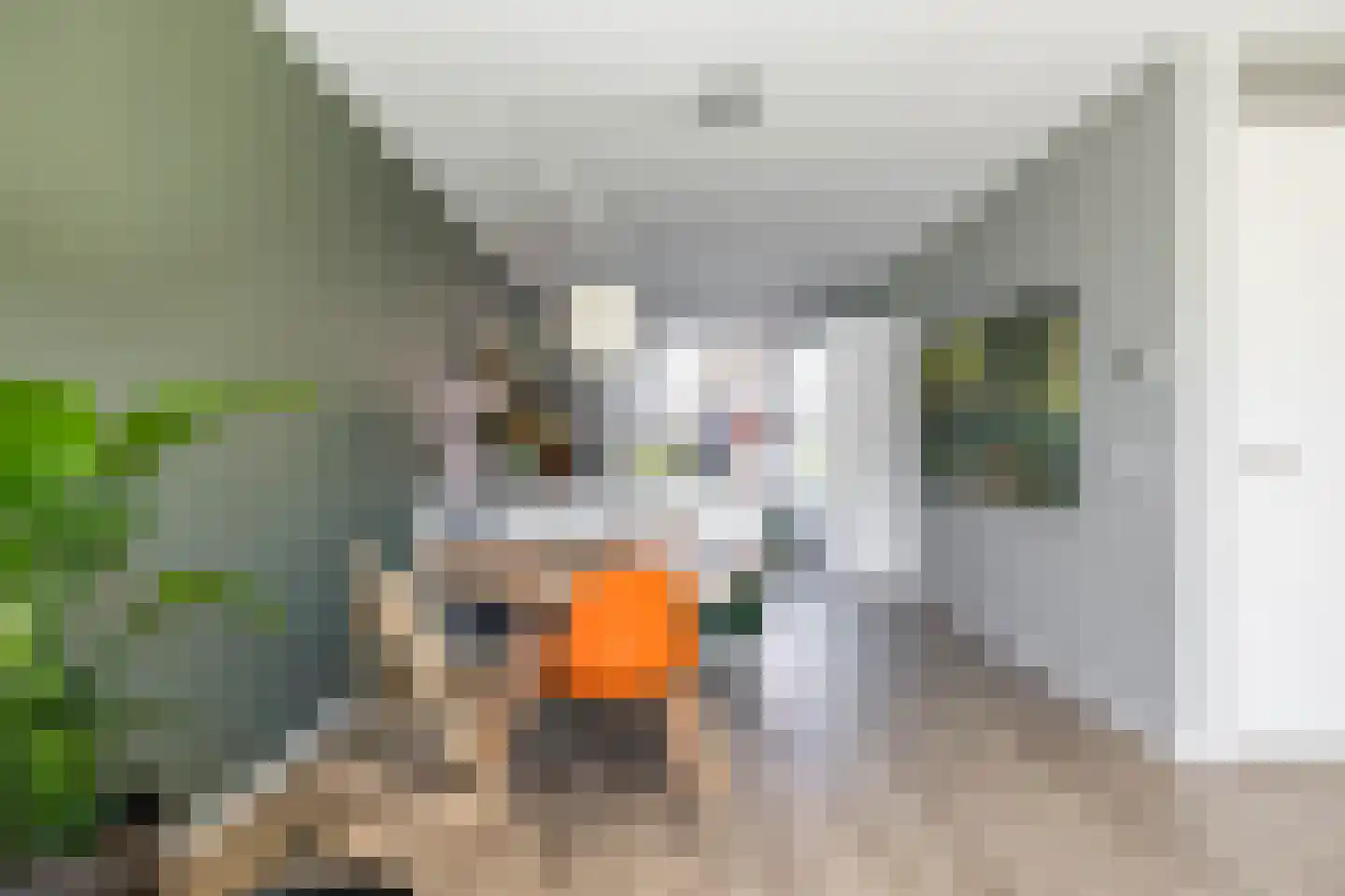 Hooglander 7 Meerstad thumbnail 13