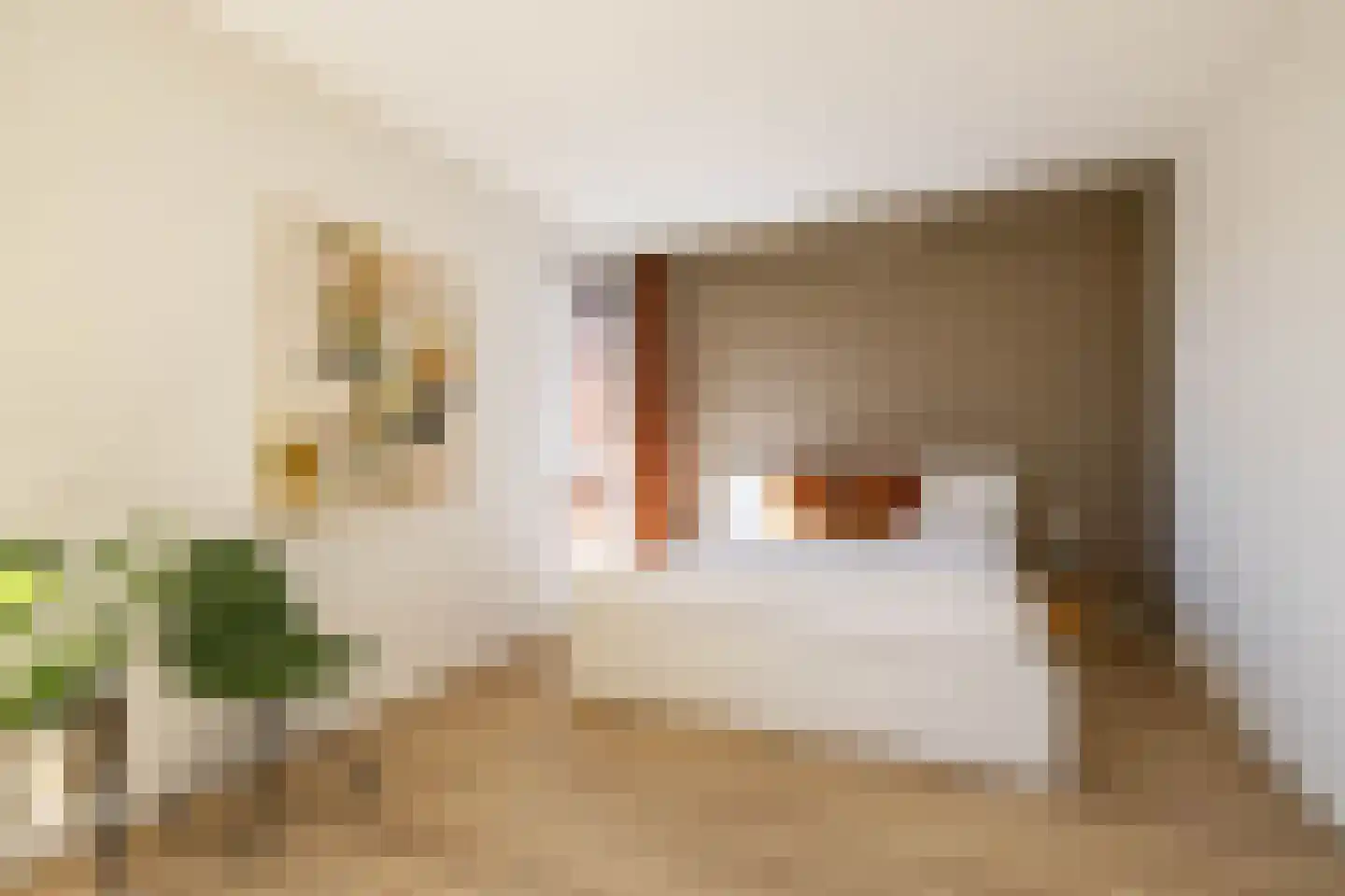 Hooglander 7 Meerstad thumbnail 34