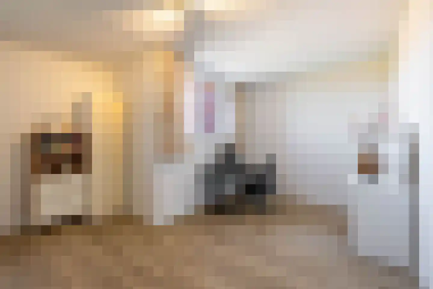 Hooglander 7 Meerstad thumbnail 47