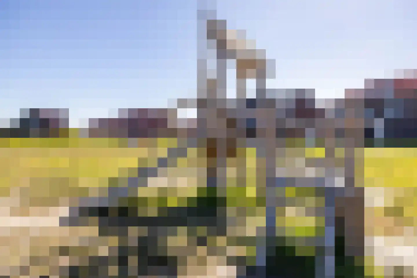 Hooglander 7 Meerstad thumbnail 58