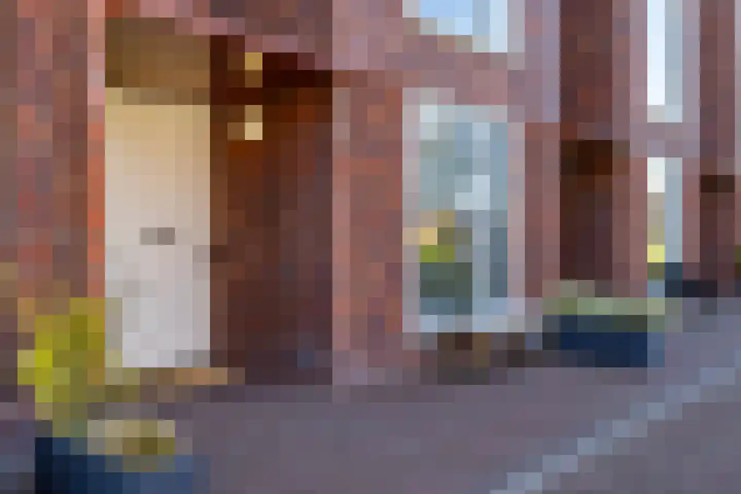 Hooglander 7 Meerstad thumbnail 6