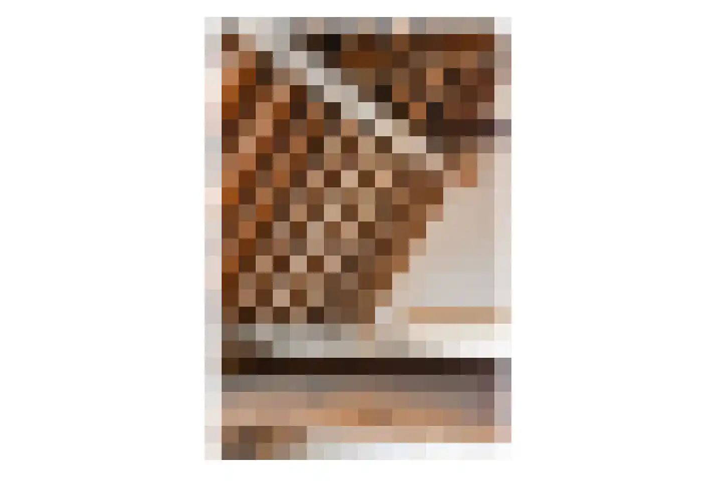 Hooglandse Kerkgracht 14 Leiden thumbnail 32