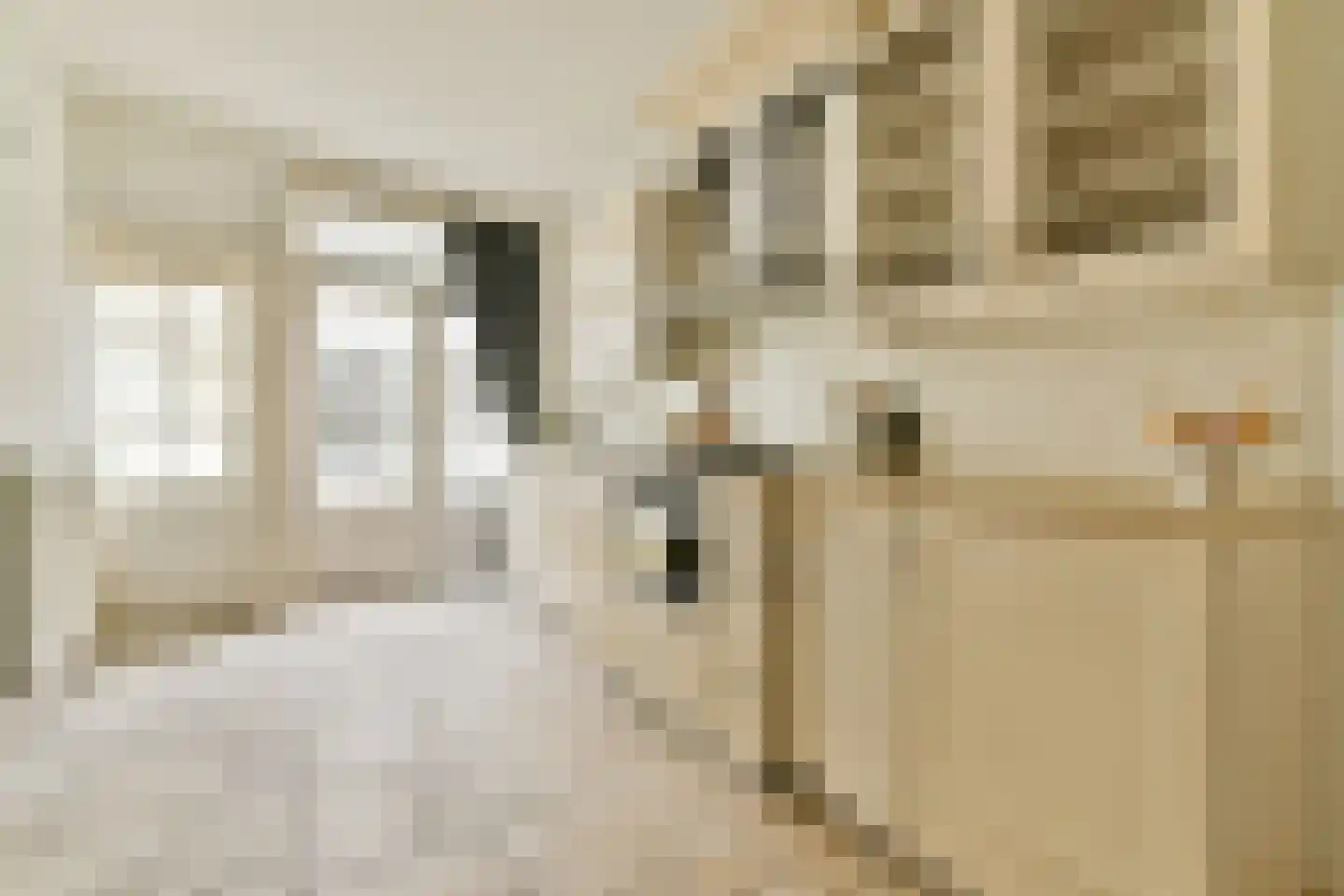 Hooglandse Kerkgracht 14 Leiden thumbnail 9